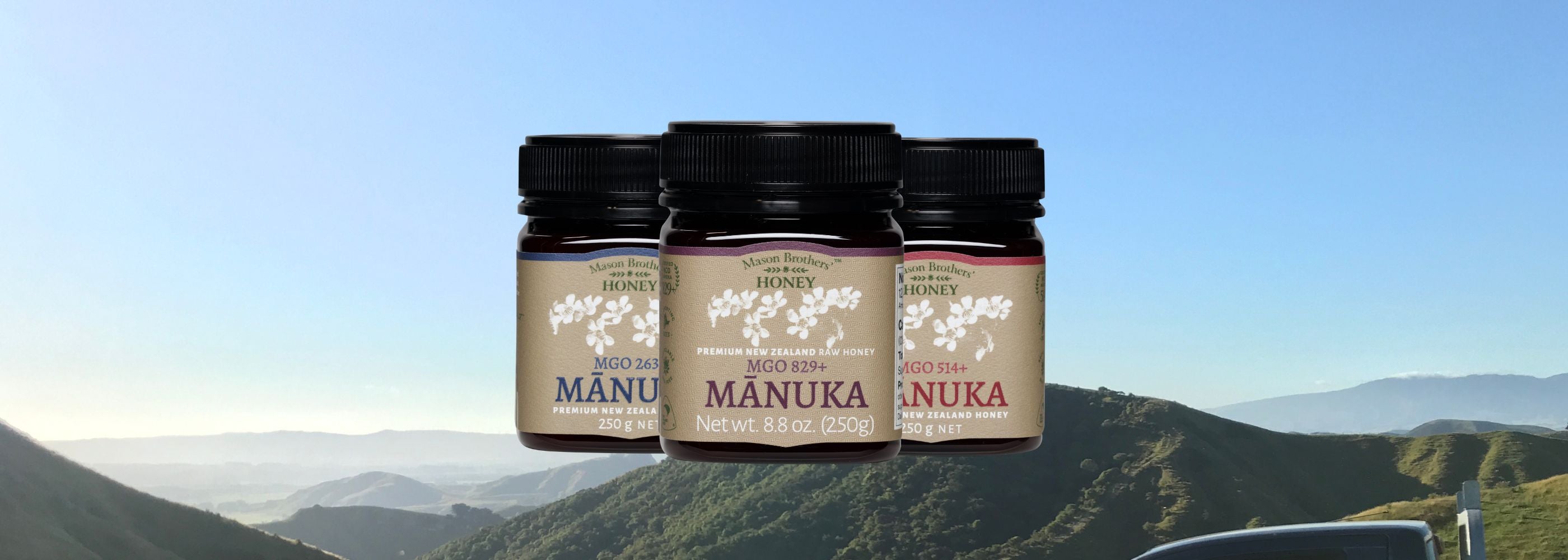 New Zealand Mānuka Honey – Mason Brothers' Honey