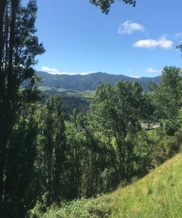 view of the ruahine ranges