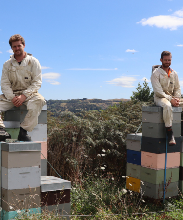 Beekeeper brothers
