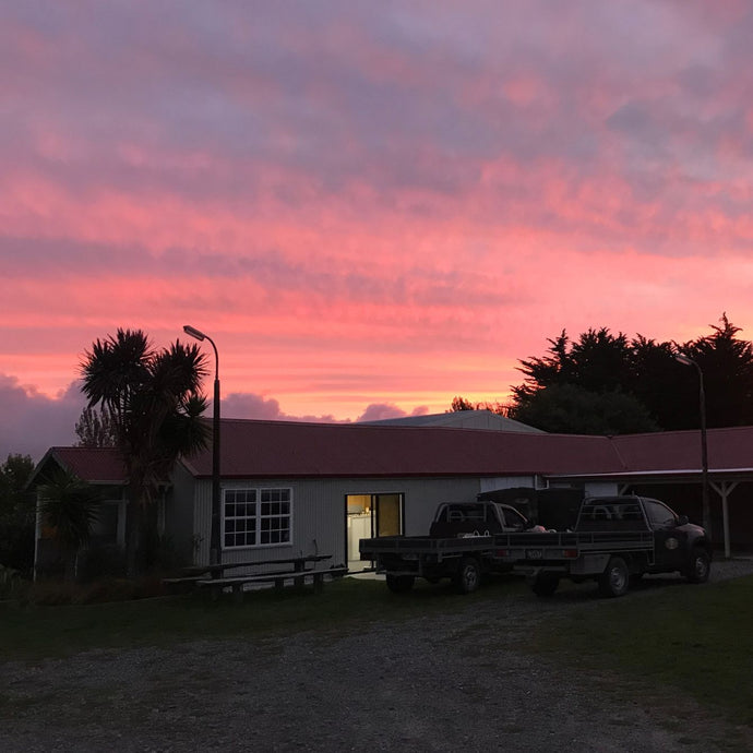 cars parked at sunset outside of facility